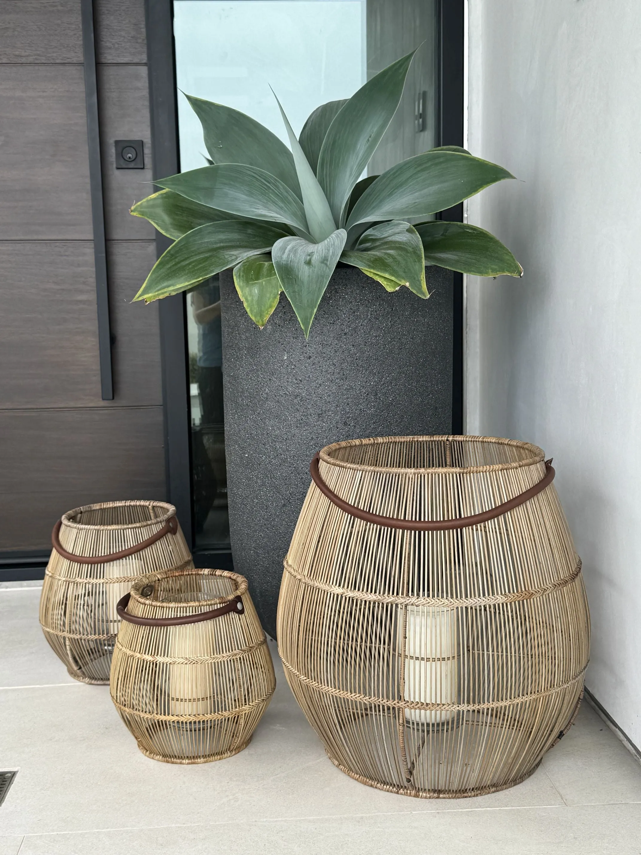 Baja Tulip Decorative Rattan Hurricane Lanterns, Natural