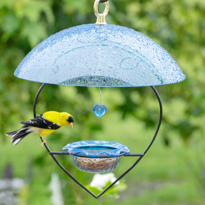 BirdsChoice Bluebird Heart Feeder with Blue Dome