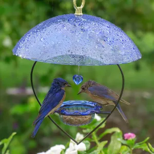 BirdsChoice Bluebird Heart Feeder with Blue Dome