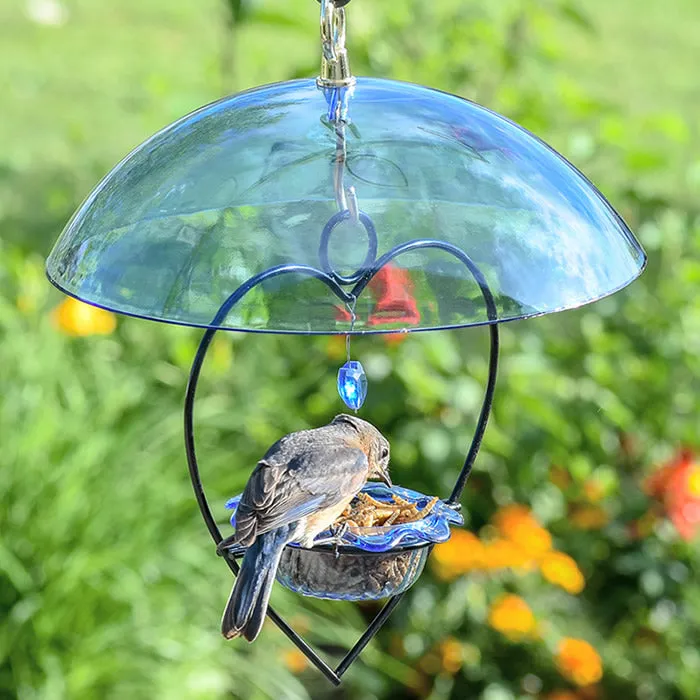 BirdsChoice Bluebird Heart Feeder with Blue Dome