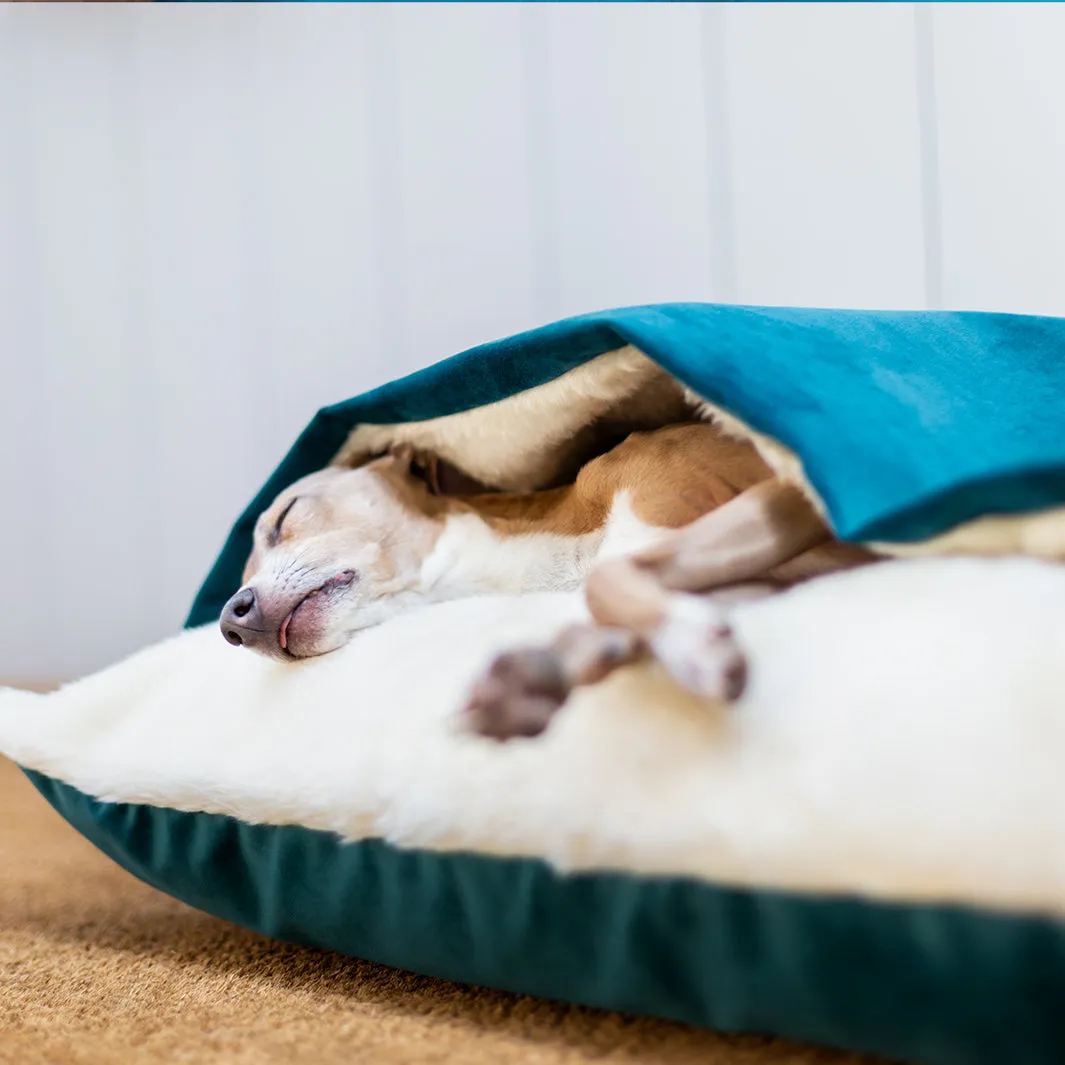 Dog Snuggle Bed in Velour