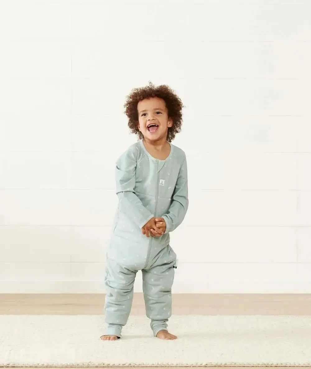 ErgoPouch - Organic Winter Long Sleeved Sleep Onesie - Sage - 2.5 TOG