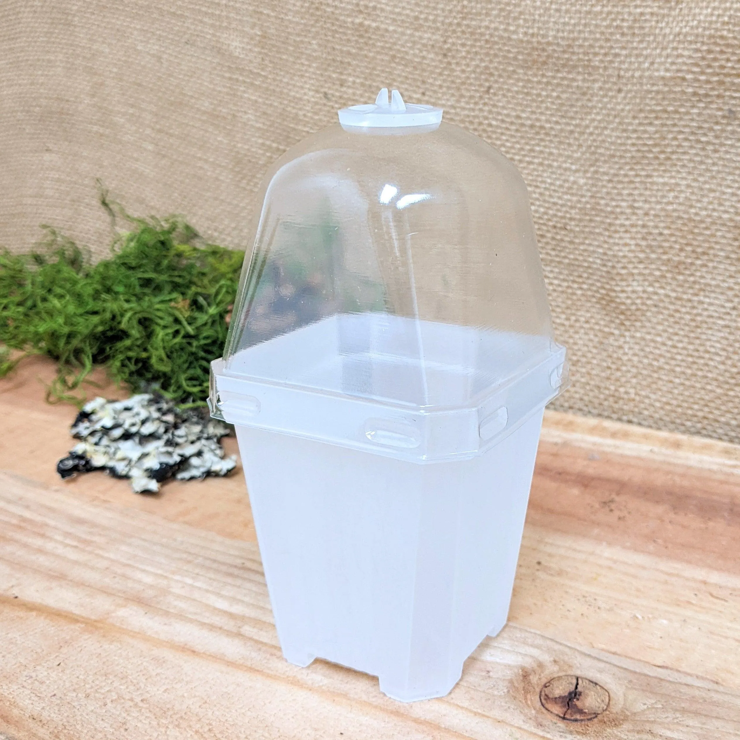 Planter with Humidity Dome