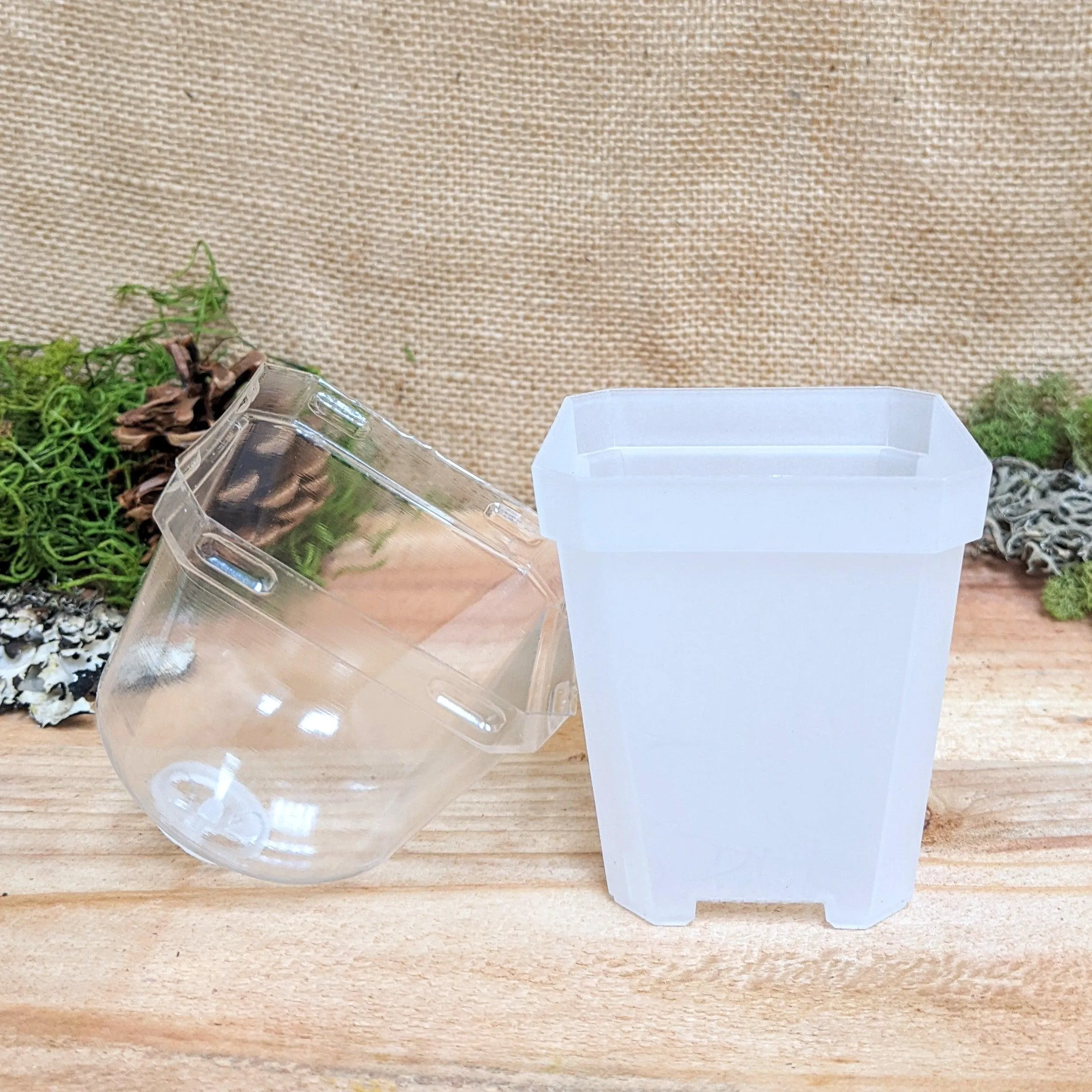 Planter with Humidity Dome