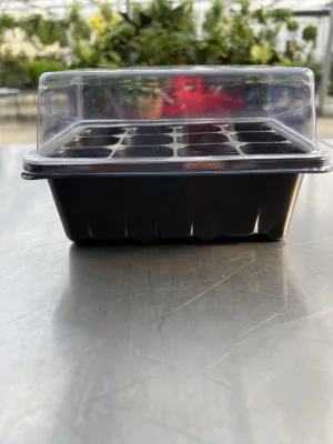 Seeding Box with Insert & Lid