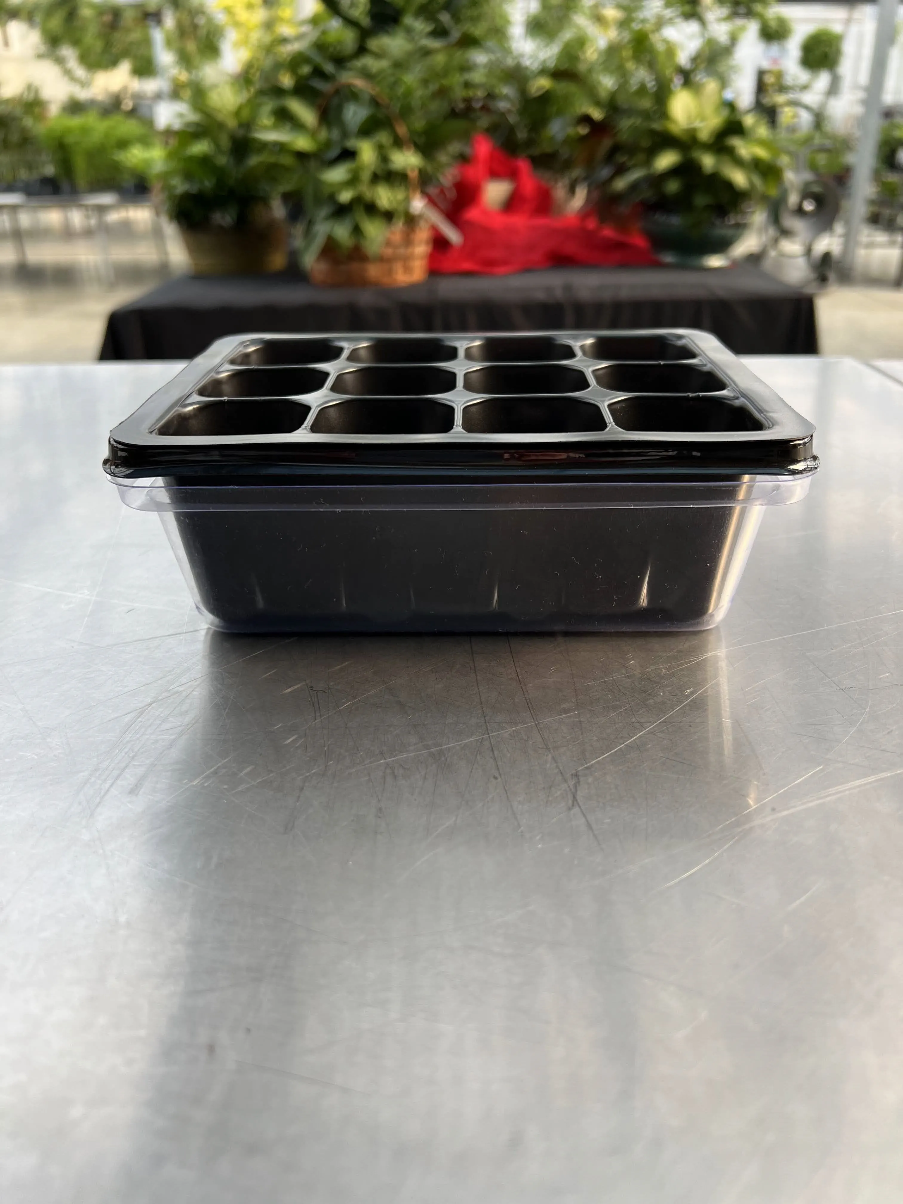 Seeding Box with Insert & Lid