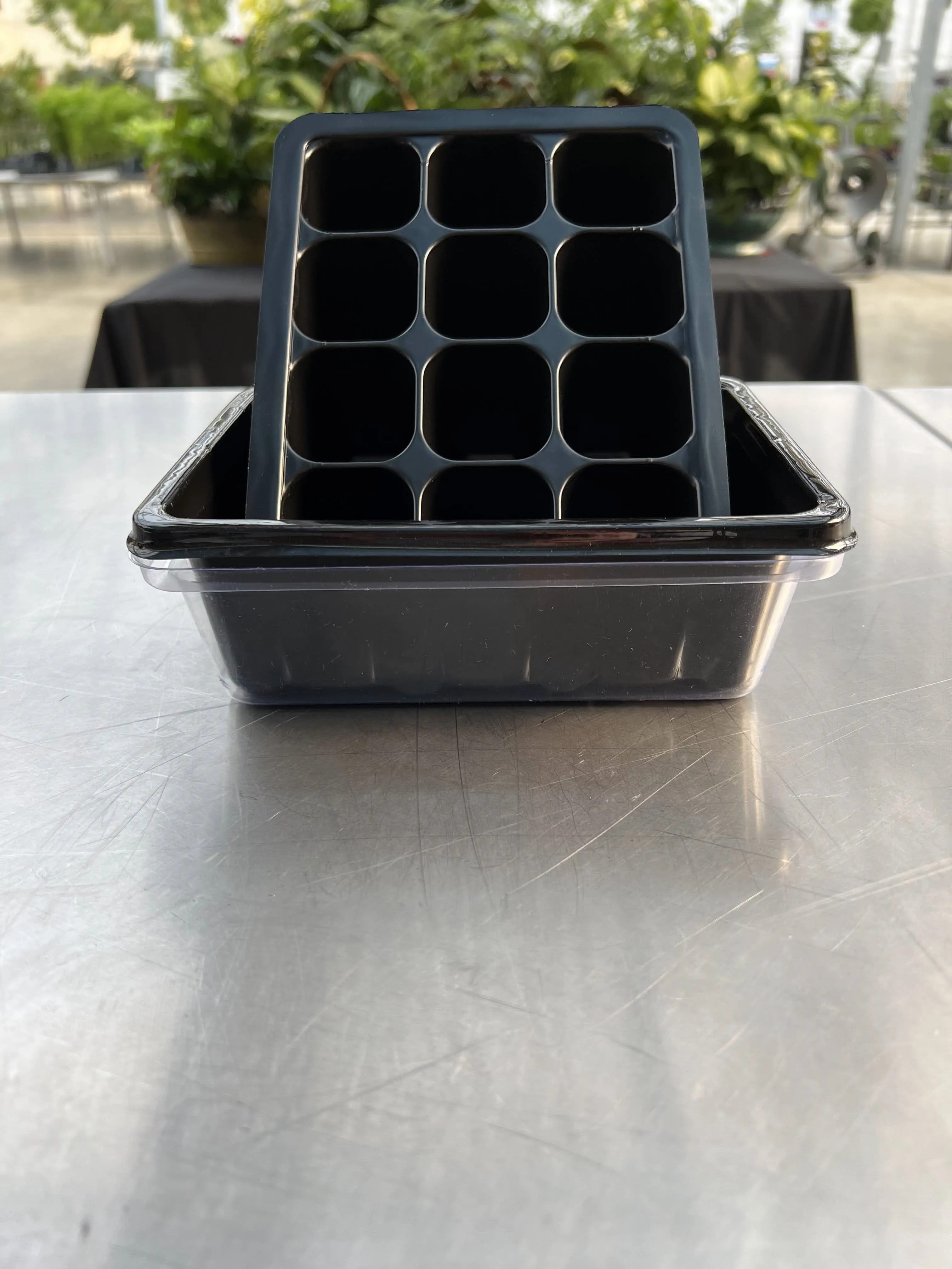 Seeding Box with Insert & Lid